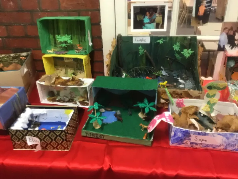 Gallery - image 4