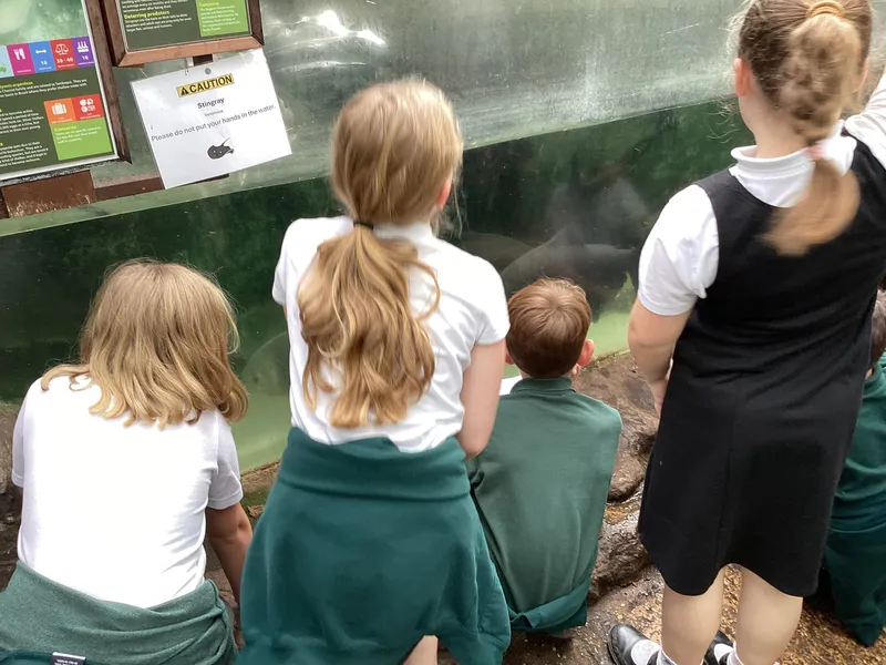 Gallery - created at 2025-03-14 10:11:21 - image 8 Gallery - created at 2025-03-14 10:11:21 - image 8