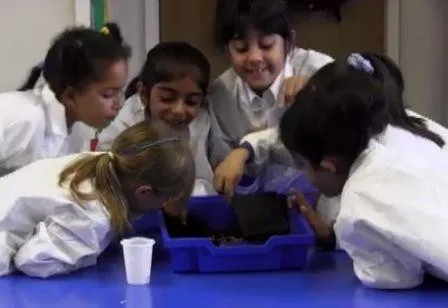 Gallery - created at 2018-01-17 17:01:08 - image 25