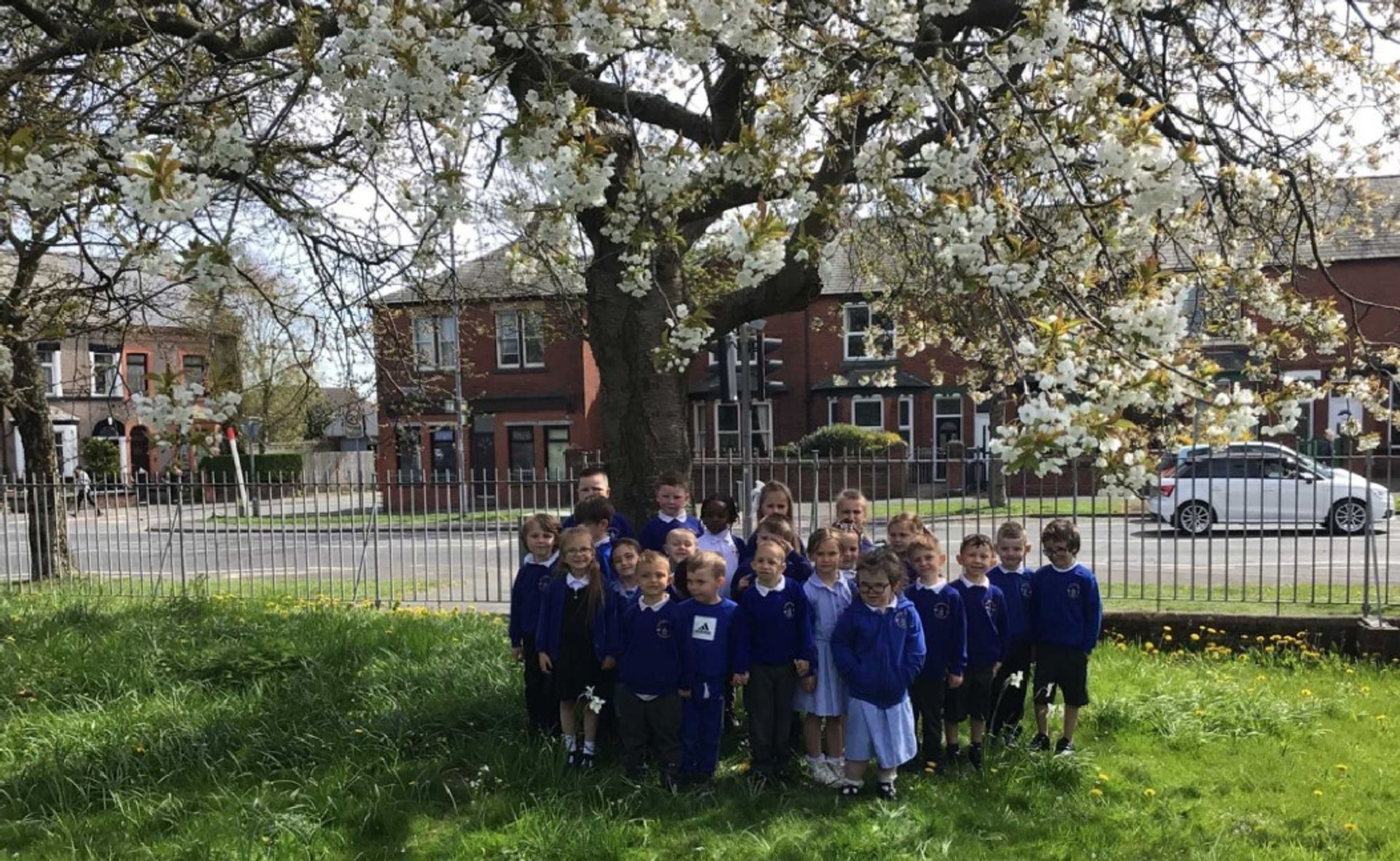 Home Cambridge Primary School