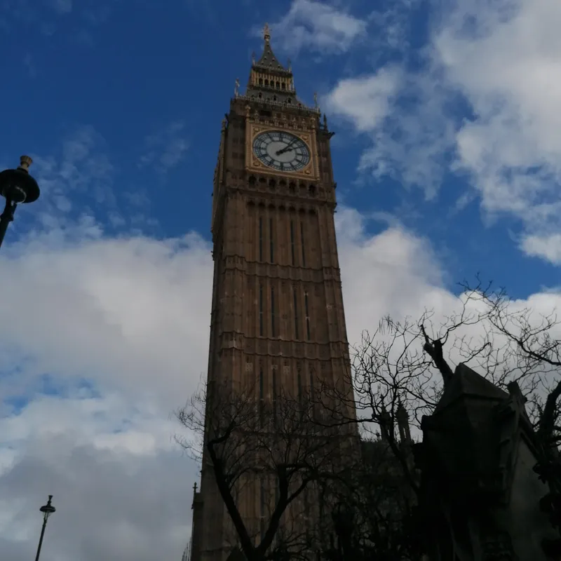 Gallery - created at 2023-03-20 11:56:27 - image 9