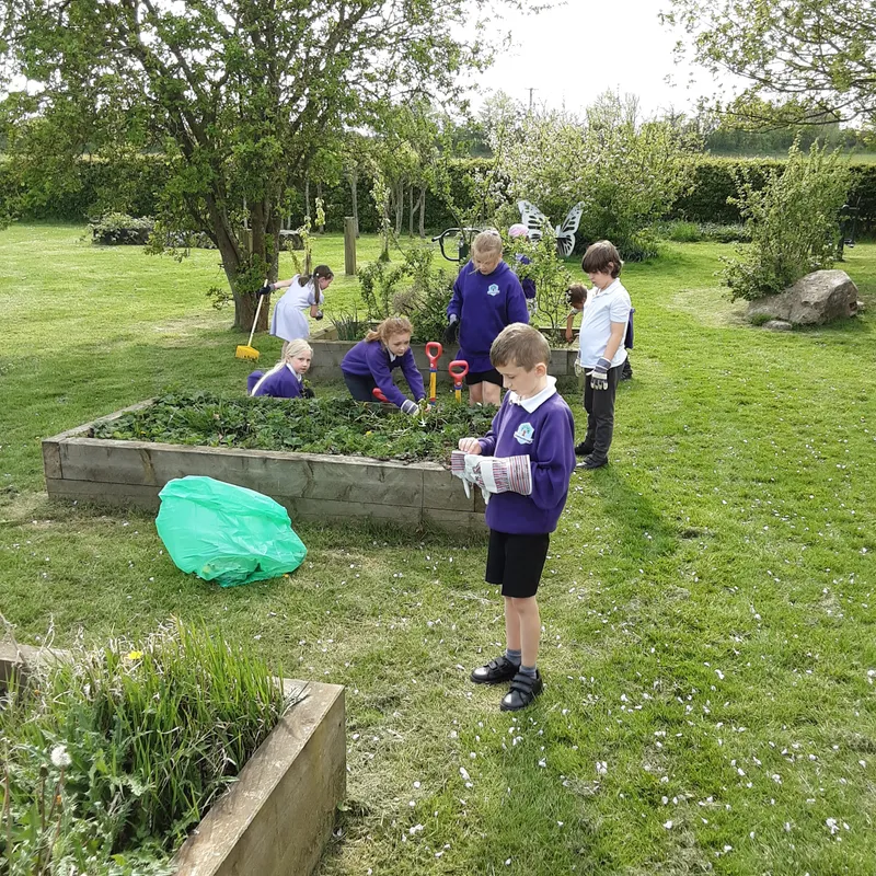 Gallery - created at 2025-06-23 10:33:29 - image 7 Gallery - created at 2025-06-23 10:33:29 - image 7