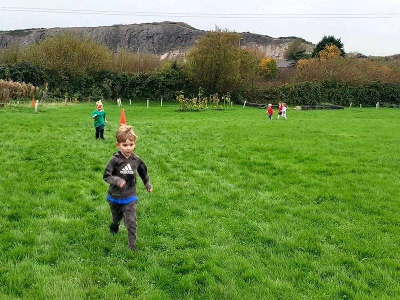 Gallery - created at 2025-10-20 11:33:38 - image 1 Gallery - created at 2025-10-20 11:33:38 - image 1