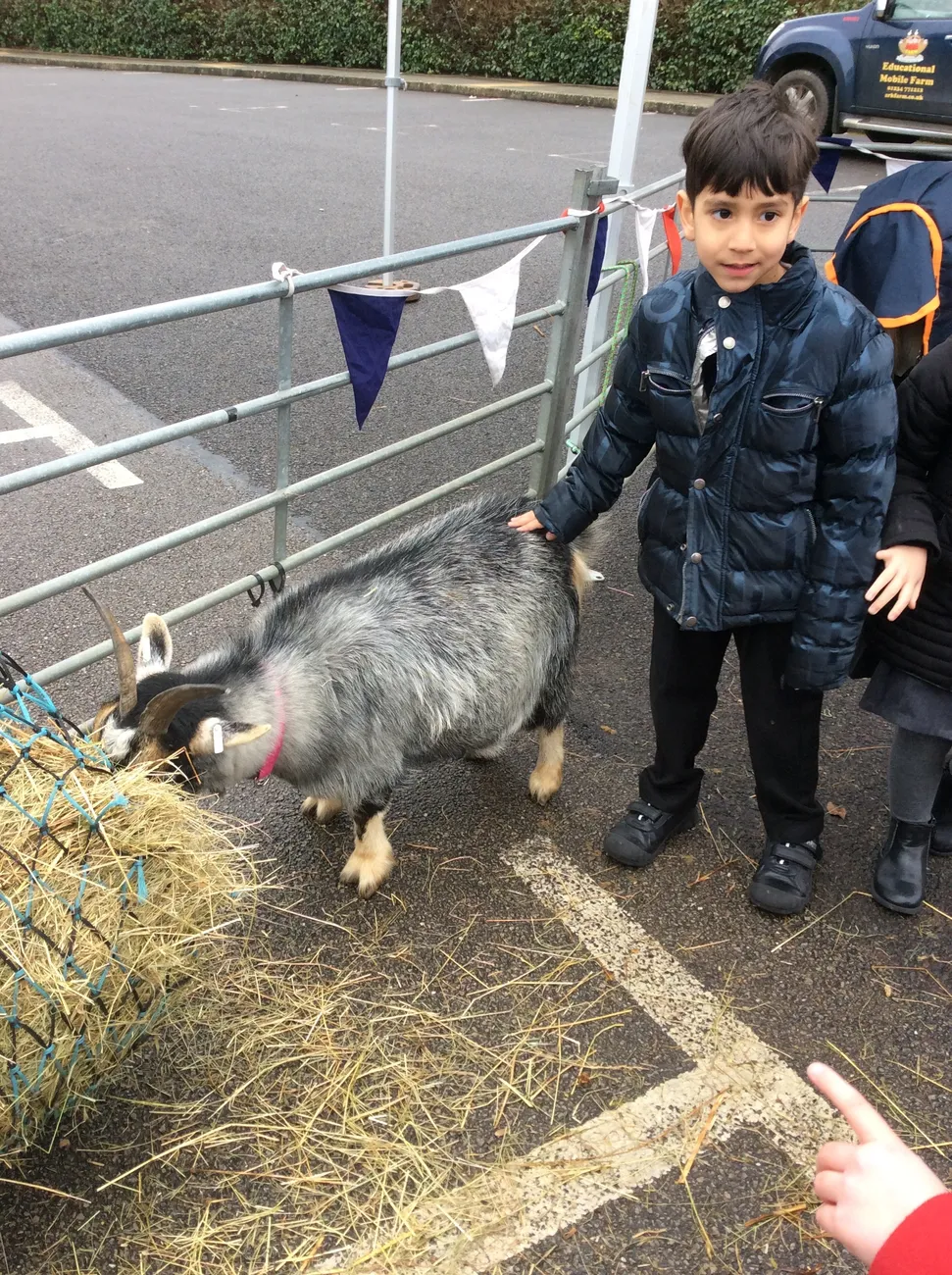 Gallery - created at 2023-03-03 16:33:51 - image 5