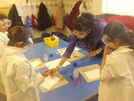 Gallery - created at 2018-01-17 17:01:08 - image 9