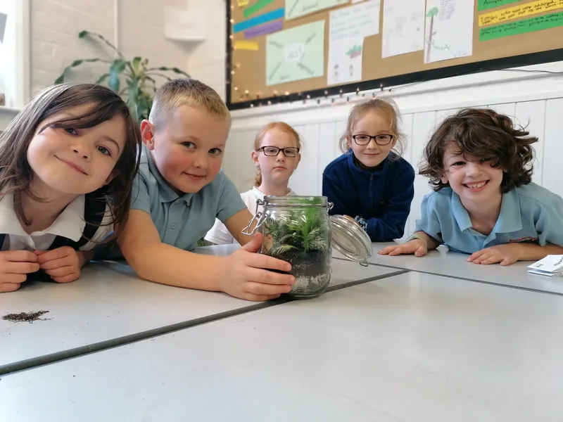 Gallery - created at 2020-10-19 15:54:26 - image 3