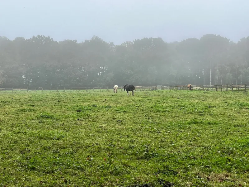 Gallery - created at 2023-10-15 15:16:55 - image 16