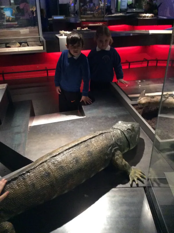 Gallery - created at 2024-02-15 10:35:32 - image 20 Gallery - created at 2024-02-15 10:35:32 - image 20