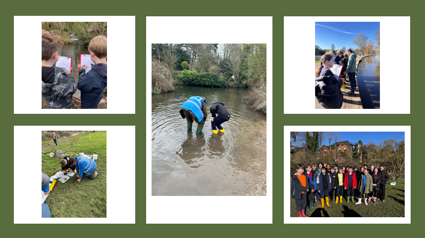 Year 6 learn about the River Ver