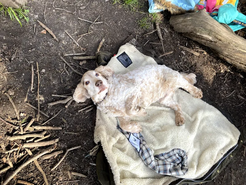 Term 4 Week 4 - image 9