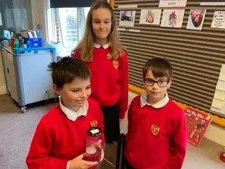 Gallery - created at 2022-10-05 12:35:04 - image 6