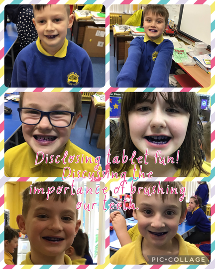 Looking after our teeth