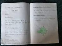 NB nonchron writing - image 1 NB nonchron writing - image 1