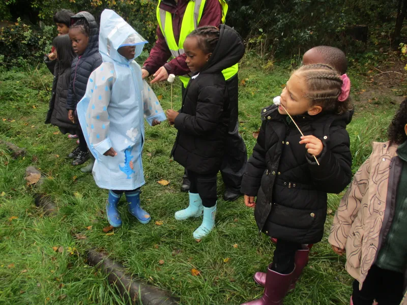 Forest School Fun Year 1 - image 9 Forest School Fun Year 1 - image 9