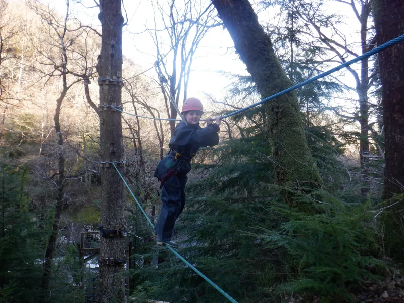 Gallery - created at 2025-02-27 19:57:56 - image 29