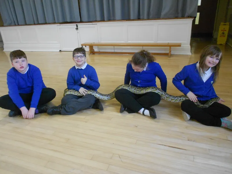 Y6 Reptile Rendezvous - image 68