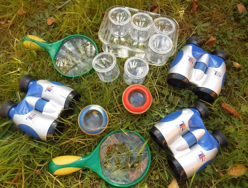 Forest School - image 5