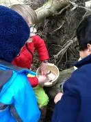 Forest School 151 - image 2 Forest School 151 - image 2