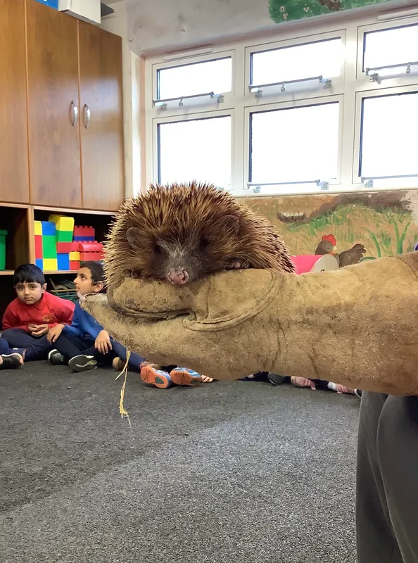 Gallery - created at 2024-11-08 14:16:46 - image 45 Gallery - created at 2024-11-08 14:16:46 - image 45
