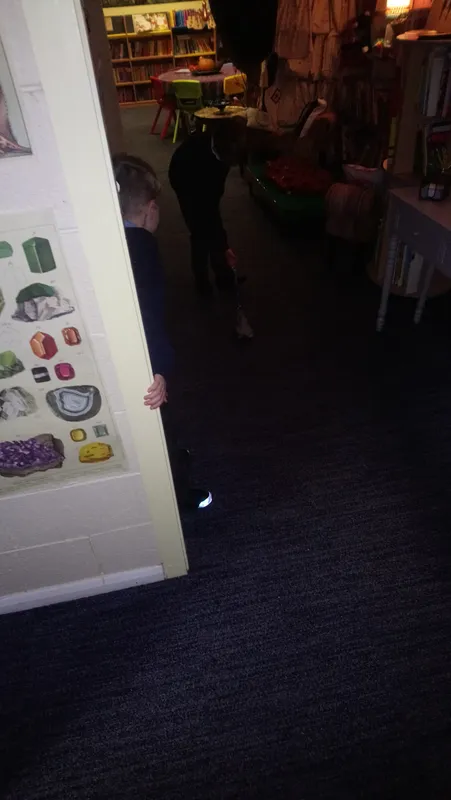 Gallery - created at 2019-11-14 13:20:16 - image 10 Gallery - created at 2019-11-14 13:20:16 - image 10