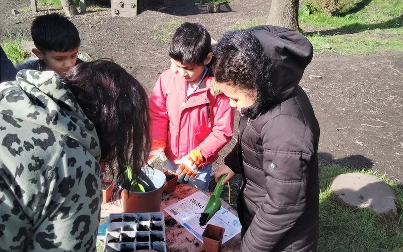 Squirrels forest school - image 10