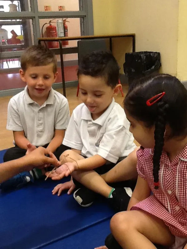 Nursery's visit from the Tropical Zoo - image 4