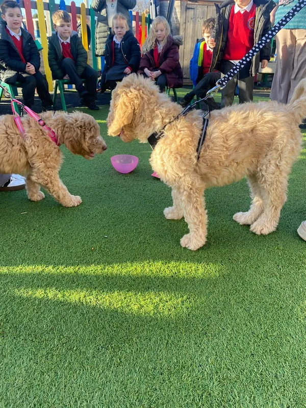 Gallery - created at 2025-05-18 08:54:34 - image 1