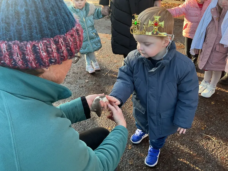 Stella farm on wheels Part 1 - image 5