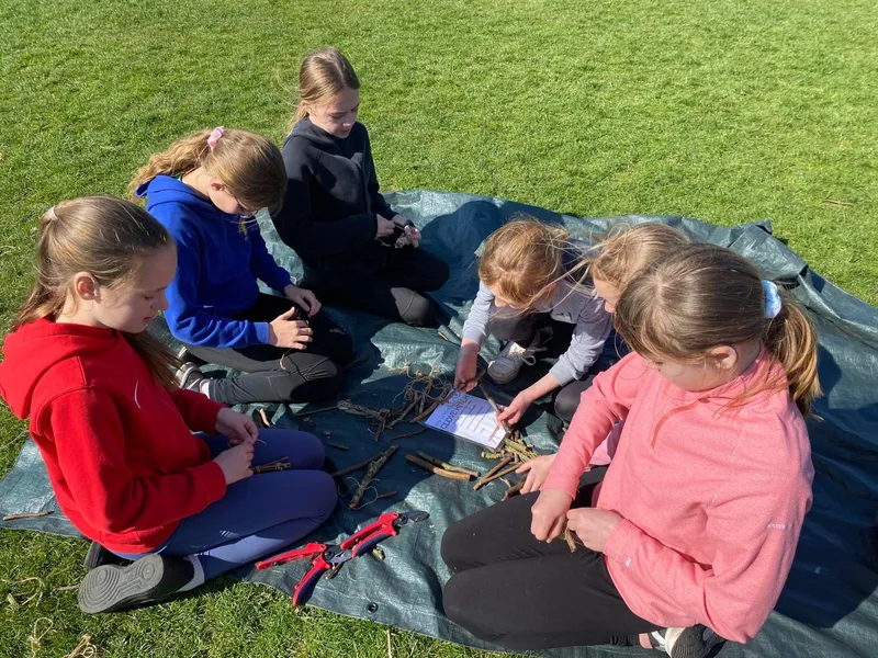 Years 5&6 Forest Schools - image 1