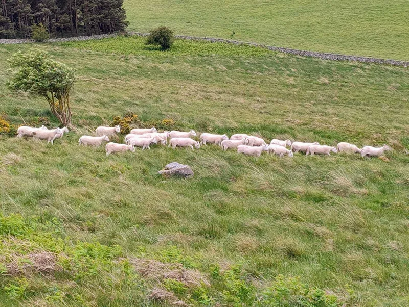 Gallery - created at 2025-06-06 10:37:45 - image 8 Gallery - created at 2025-06-06 10:37:45 - image 8