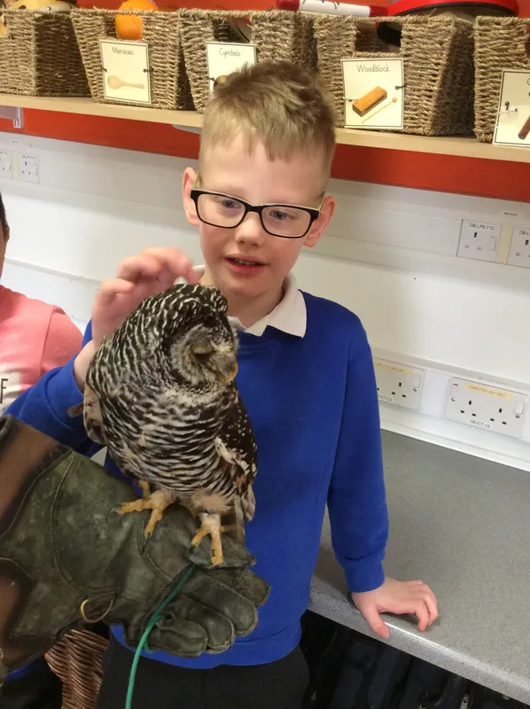 Gallery - created at 2024-02-26 17:15:57 - image 3 Gallery - created at 2024-02-26 17:15:57 - image 3