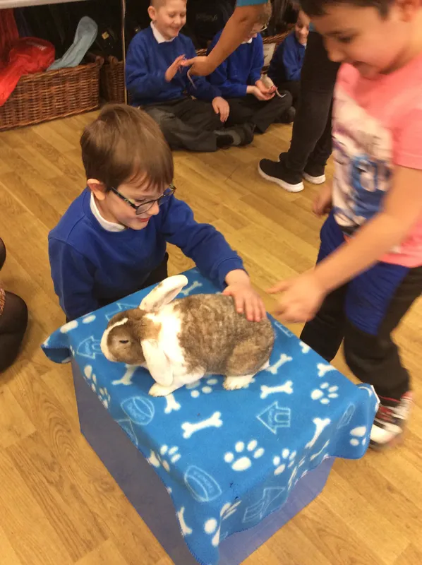 Gallery - created at 2024-03-05 13:52:56 - image 77 Gallery - created at 2024-03-05 13:52:56 - image 77