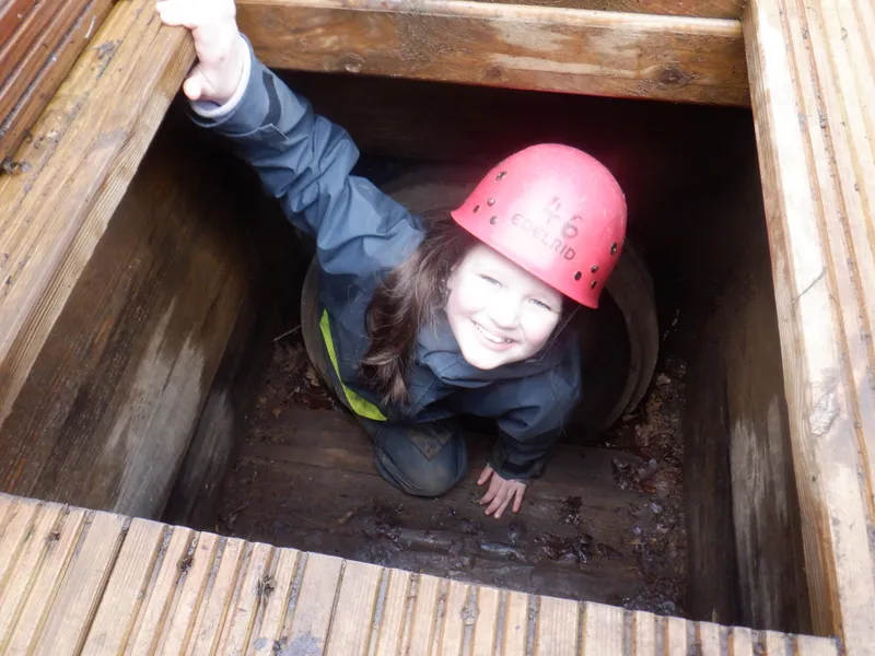 Gallery - created at 2025-02-26 20:19:52 - image 48