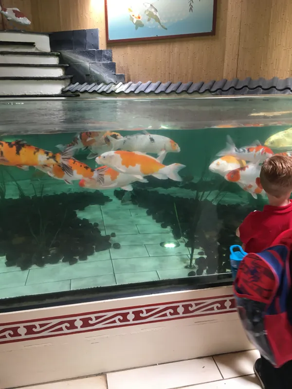 Gallery - created at 2019-07-19 12:20:49 - image 13