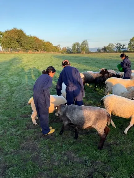 Farm Trip - Gallery 4 - image 22