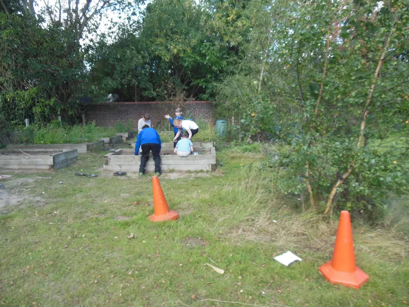 Forest Schools - image 2 Forest Schools - image 2