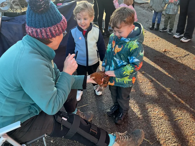 Stella farm on wheels Part 1 - image 55