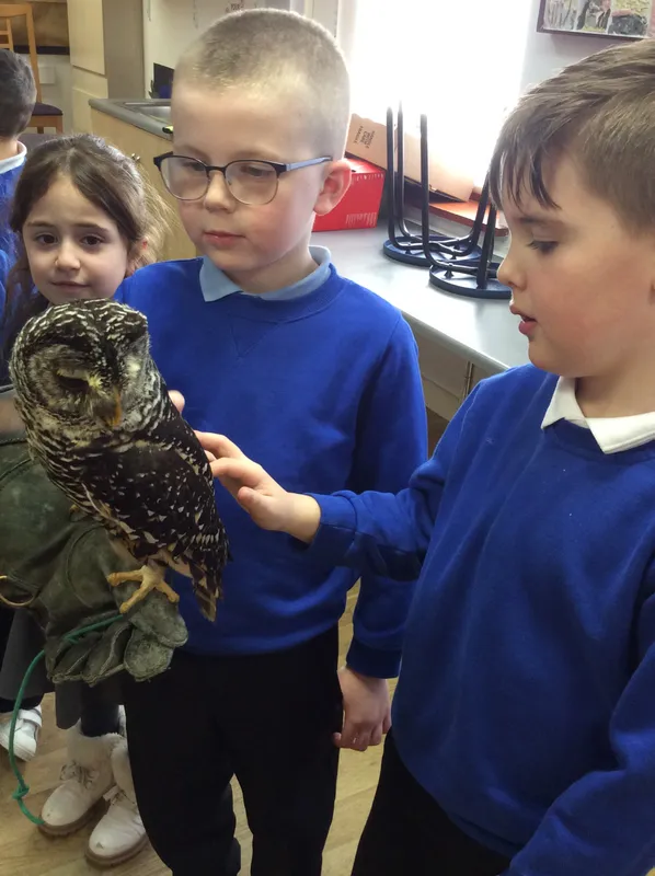 Gallery - created at 2024-02-26 17:15:57 - image 33 Gallery - created at 2024-02-26 17:15:57 - image 33