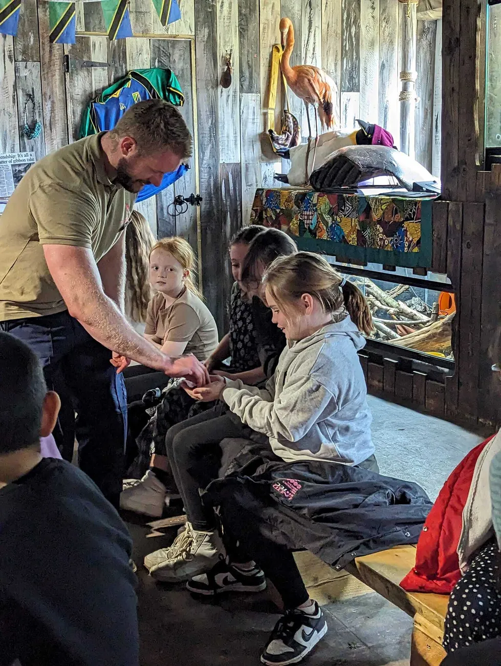 Gallery - created at 2024-06-06 15:03:55 - image 28