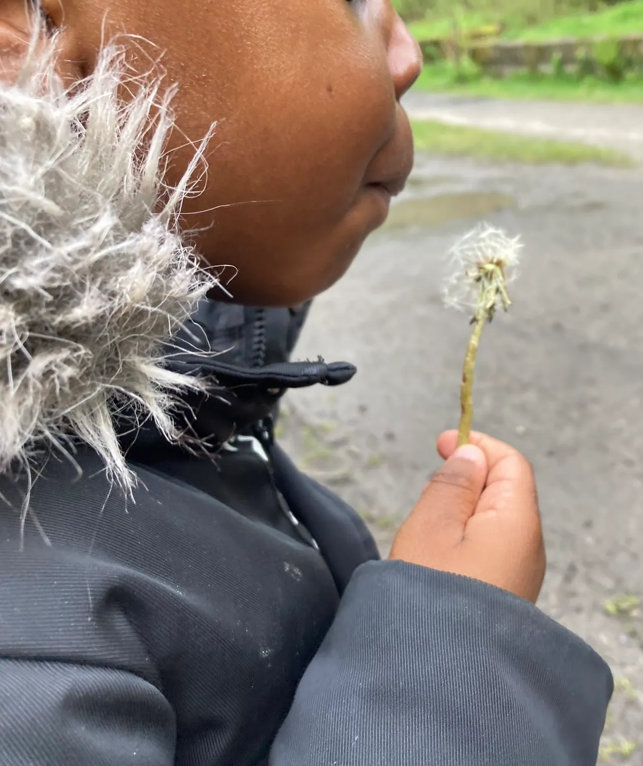 Healey Dell - image 4