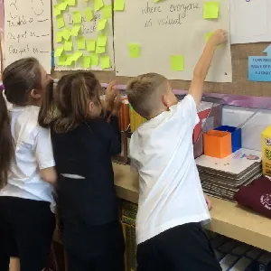 Curriculum