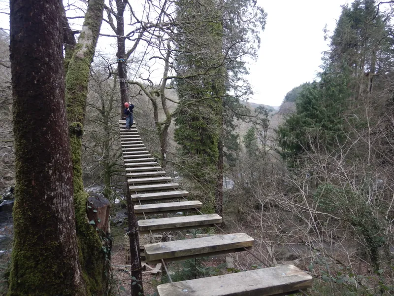 Gallery - created at 2024-02-29 21:40:03 - image 13 Gallery - created at 2024-02-29 21:40:03 - image 13