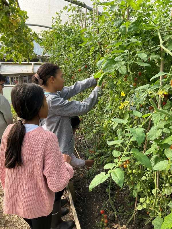 Farm Trip 2025 - image 16