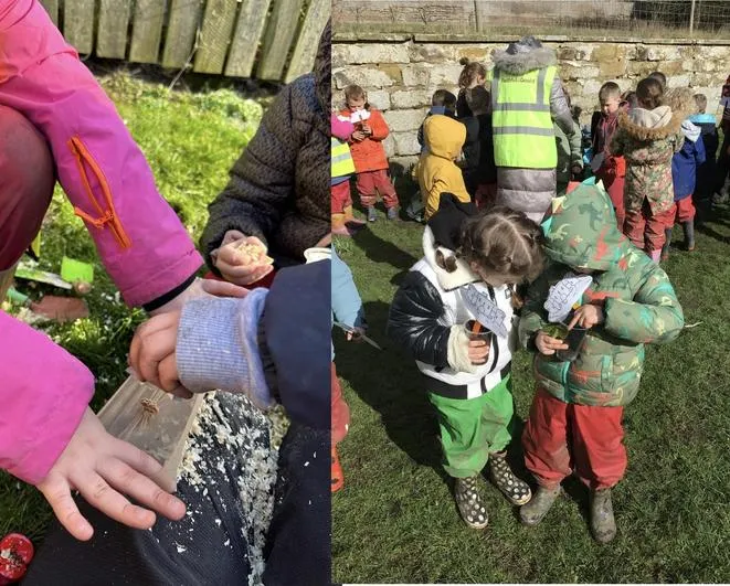 Forest School 45 - image 3 Forest School 45 - image 3