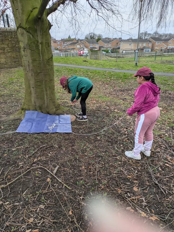 Gallery - created at 2025-02-23 10:17:08 - image 15