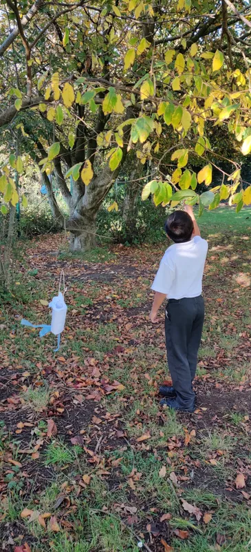 Gallery - created at 2025-05-18 09:46:55 - image 7 Gallery - created at 2025-05-18 09:46:55 - image 7