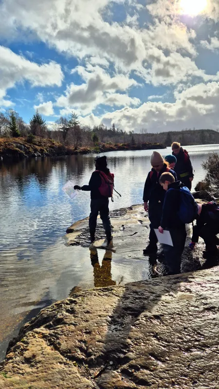 Gallery - created at 2025-02-26 20:19:52 - image 79