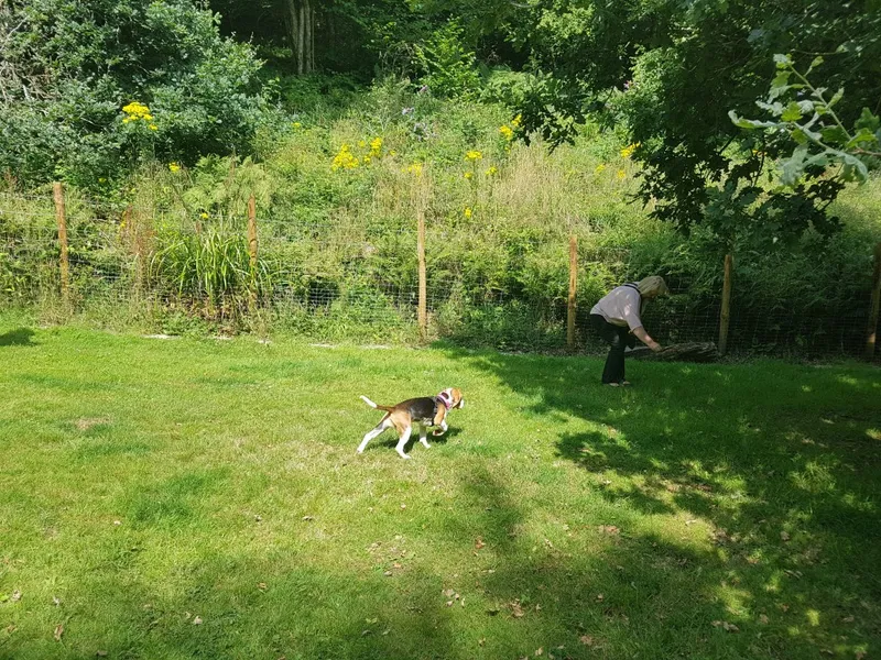 Our School - Bella 6 - image 2