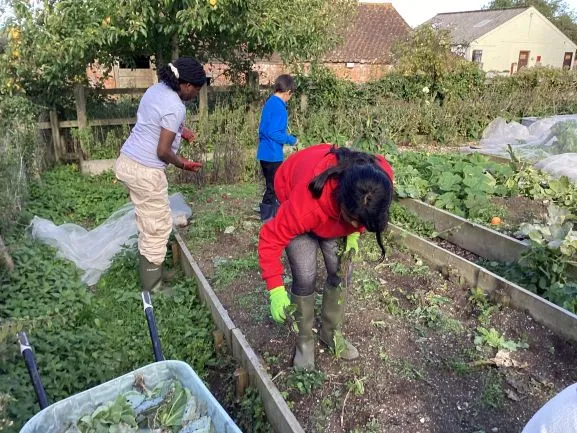 Farm Trip - Gallery 4 - image 20