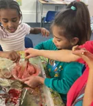 Year 2 Autumn blog - image 5 Year 2 Autumn blog - image 5